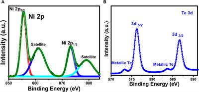 Solar enhanced oxygen evolution reaction with transition metal telluride